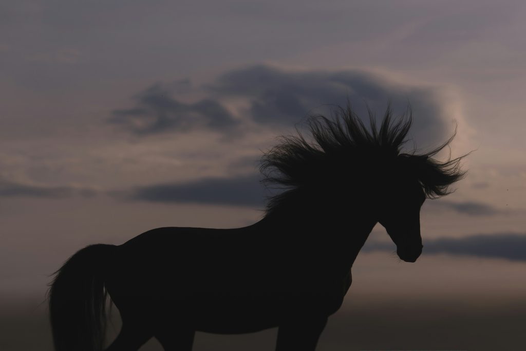 Razbijamo mite o meditaciji. Tega zagotovo niste vedeli. lara baeriswyl jmINcSSHOhQ unsplash